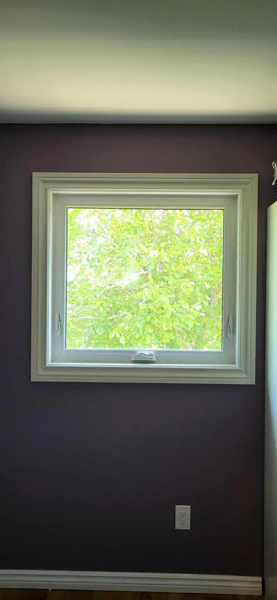NTI Windows & Doors A square window with a white frame from NTI Windows and Doors sits in a purple wall, revealing green tree leaves outside during daytime. An electrical outlet is visible below the window. Window Replacement Hamilton & GTA